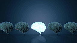 What Is the Average IQ by Age?