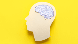 How Do I Know My IQ Level?