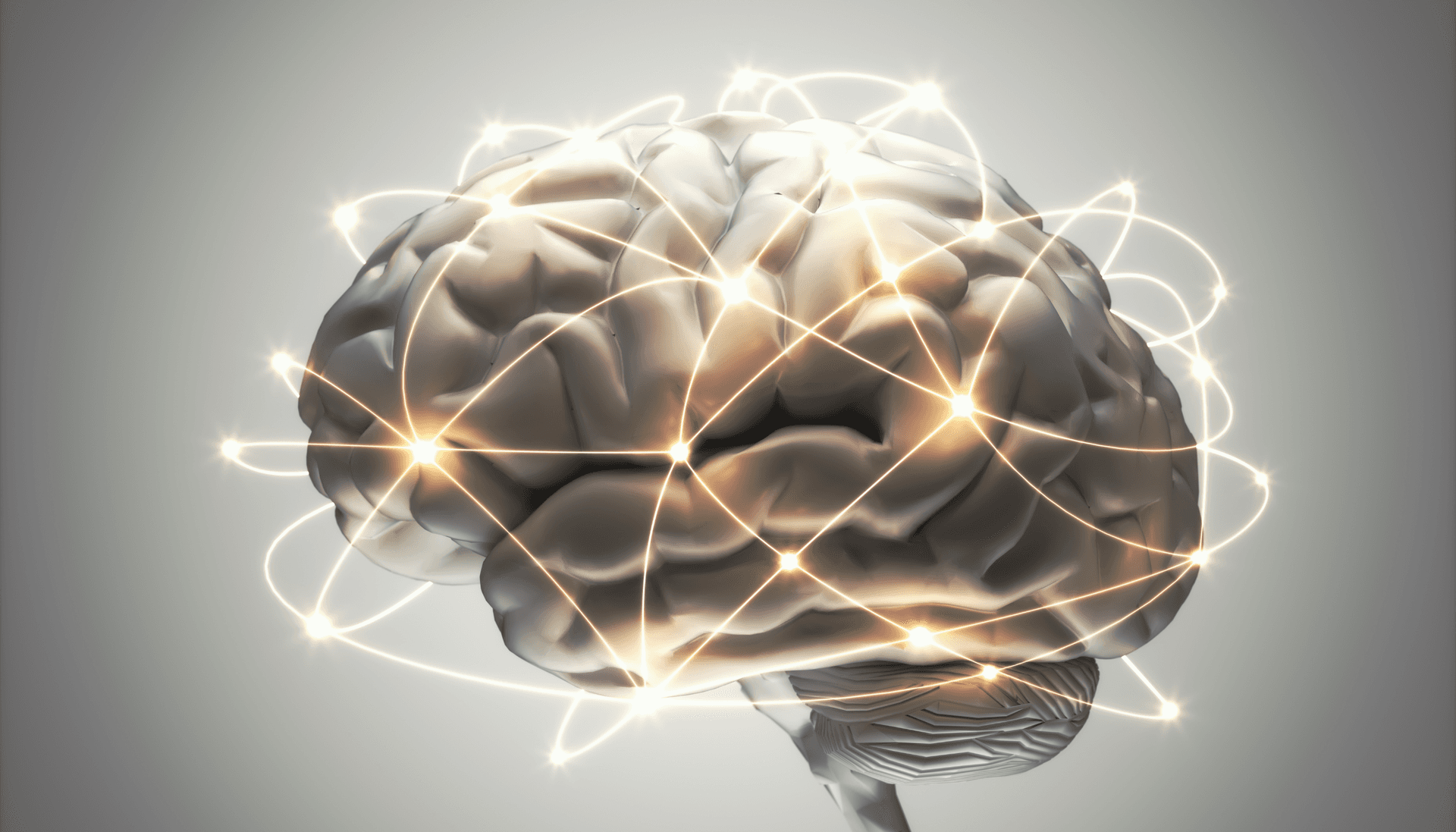 Importance of a High IQ