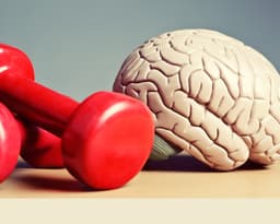 Is Raising IQ Possible?